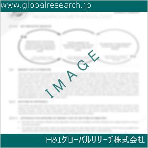 グローバルリサーチ調査資料のイメージ